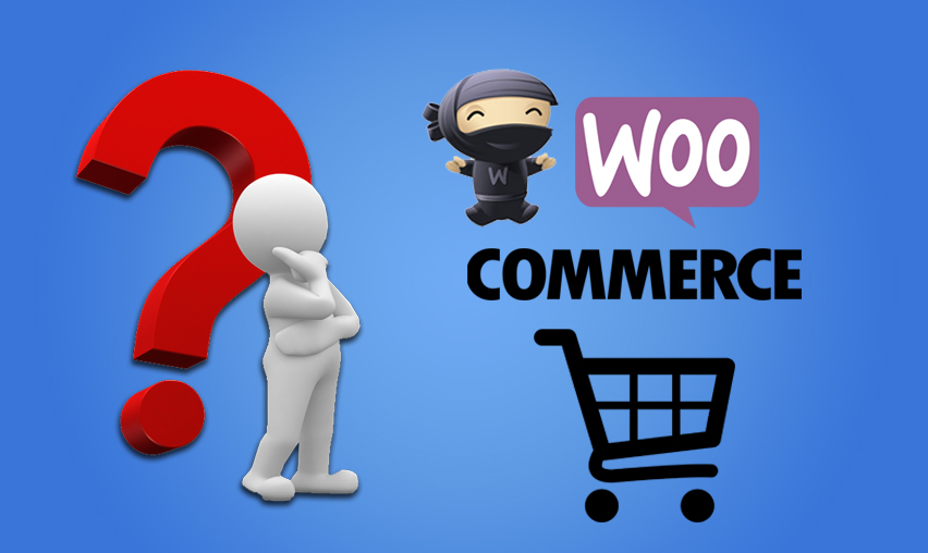 Why Woocommerce Is the Perfect Solution for Your Ecommerce Start Up