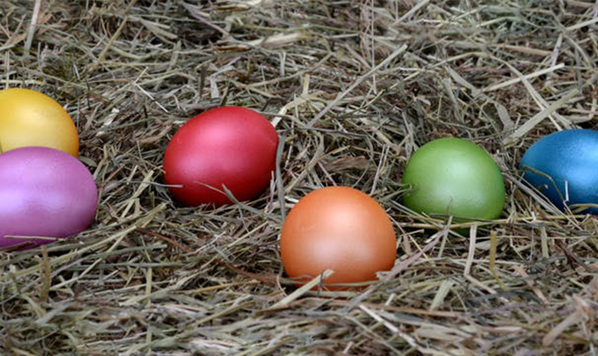 Essential Tips To Pick The Best Colour Scheme For Your Business Website