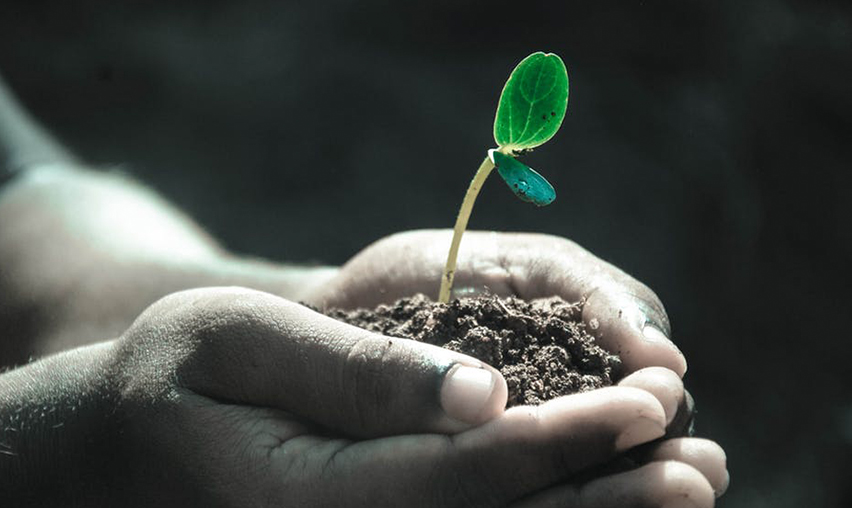 Good Relationship With Your Web Development Team, Why It’s Important for Every Online Business?