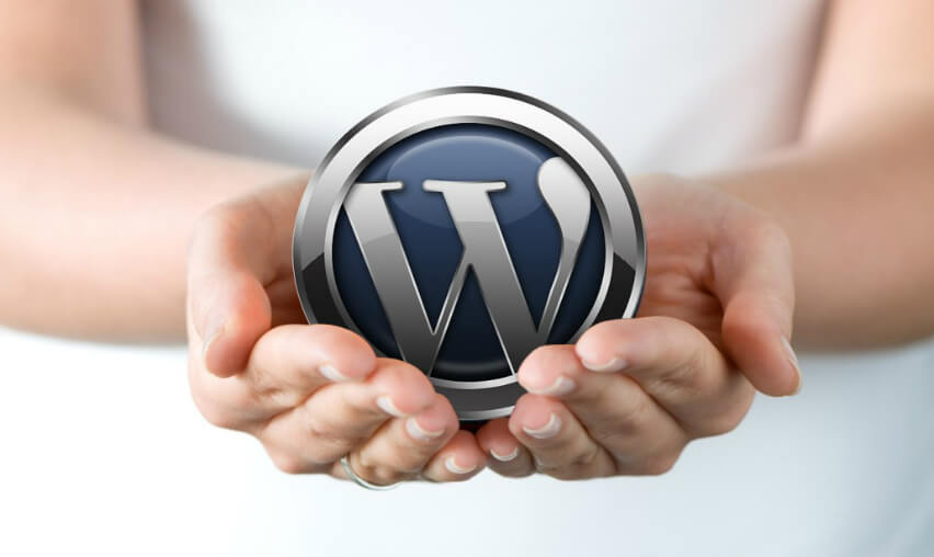 Why WordPress Is The Most Popular CMS In The World