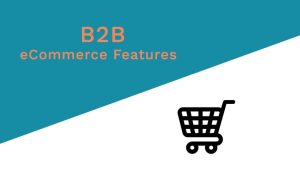 12 Key Features Every B2B eCommerce Website Should Have