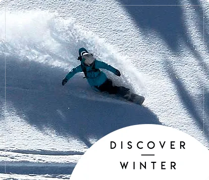 Discover Winter