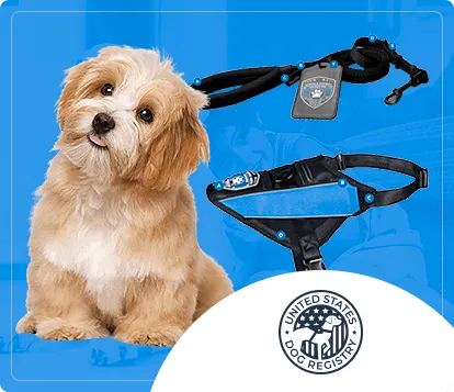 US Dog Registry