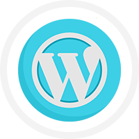 Hire Wordpress Website Designers