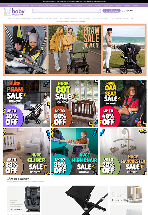 Baby Kingdom web development case study
