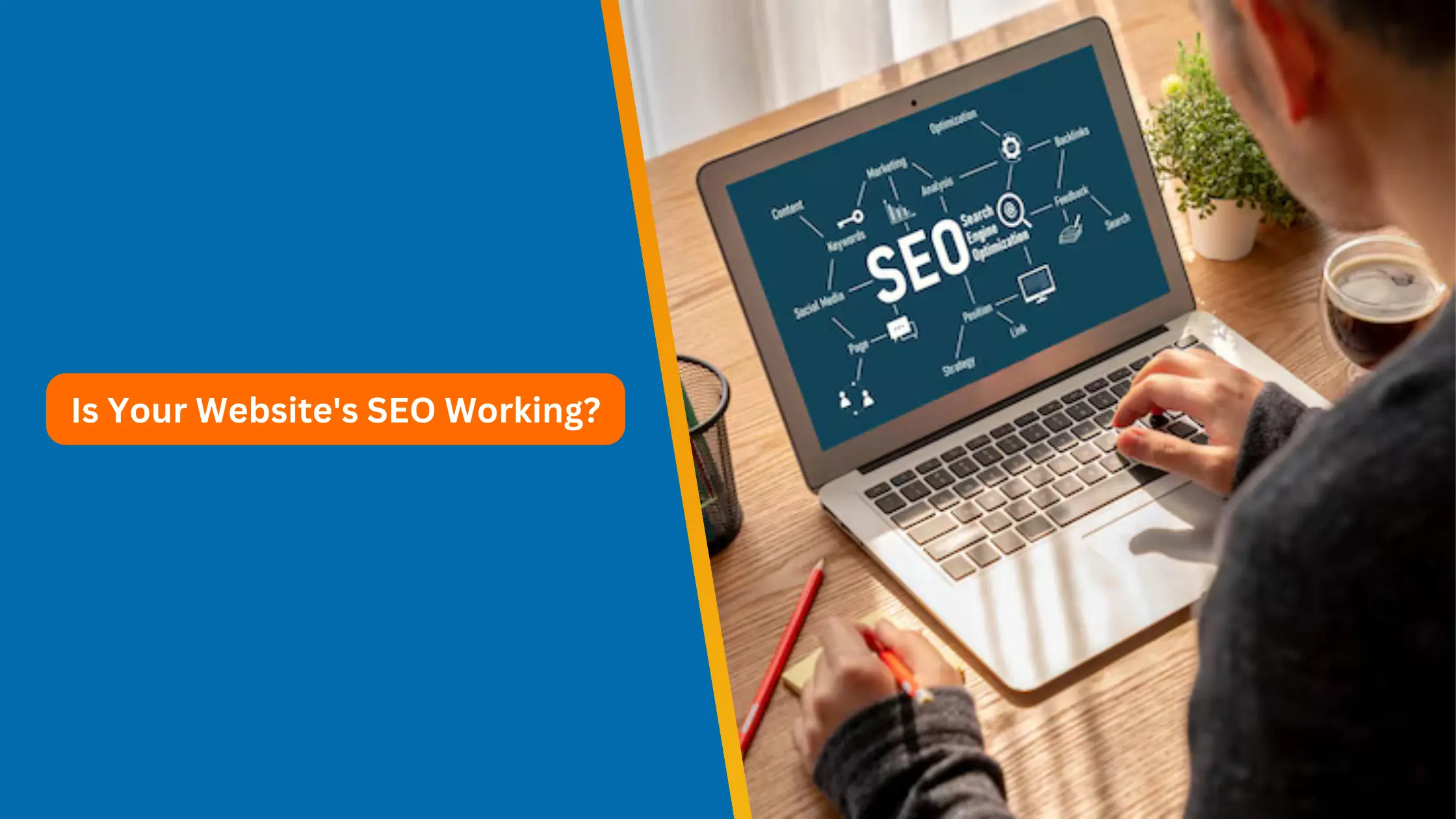 Is Your Website's SEO Working?