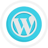 Hire Wordpress Website Designers