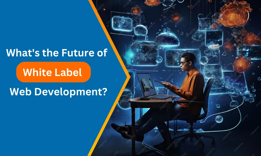 What's the Future of White-label Web Development?