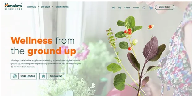 Website design with large titles
