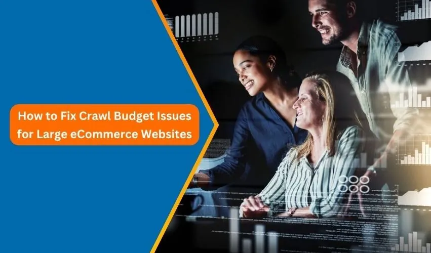 How to Fix Crawl Budget Issues for Large eCommerce Websites