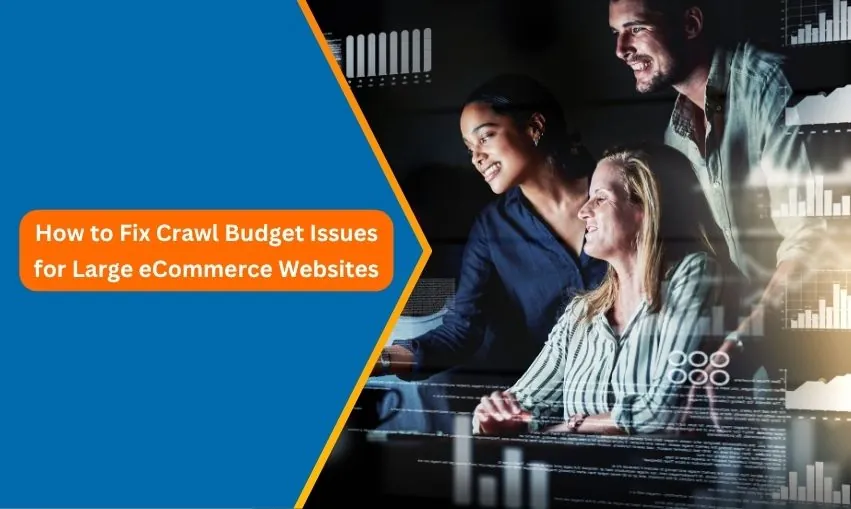 How to Fix Crawl Budget Issues for Large eCommerce Websites
